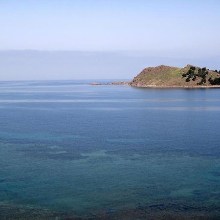 Birds Bay Resort เปตรา ภายนอก รูปภาพ