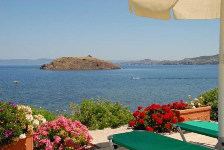 Birds Bay Resort เปตรา ภายนอก รูปภาพ