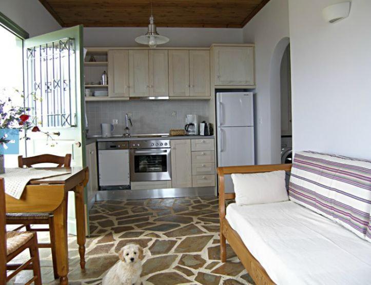Birds Bay Resort เปตรา ห้อง รูปภาพ